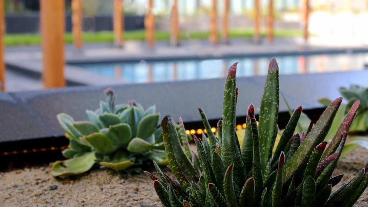 Quartz Hotel & Spa Tijuana Exteriér fotografie